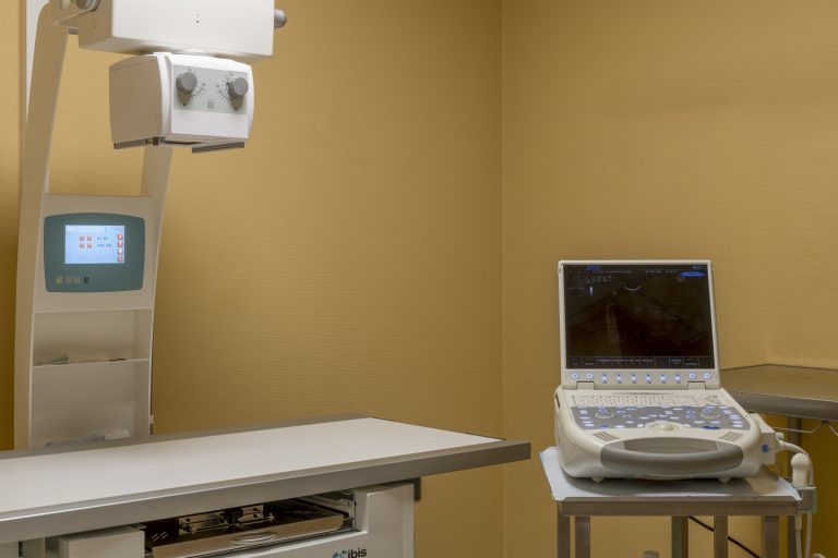 cliniqueveterinaireduviaduc poixdepicardie 23