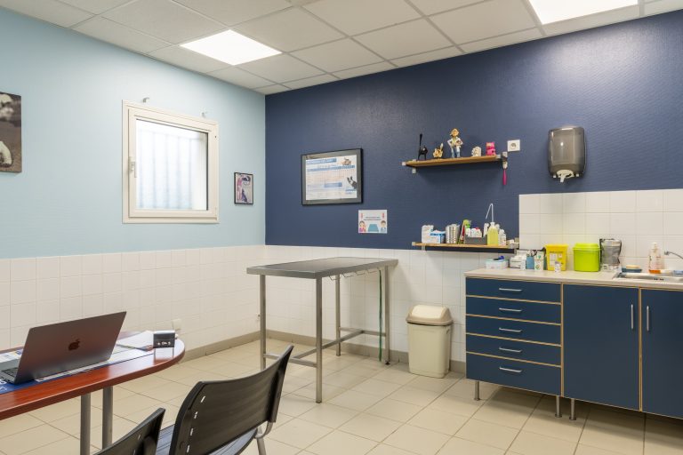 cliniqueveterinaireduviaduc poixdepicardie 25