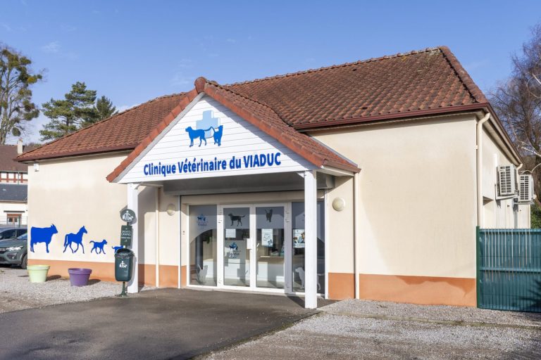 cliniqueveterinaireduviaduc poixdepicardie 3