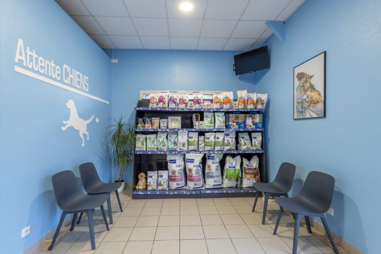 cliniqueveterinaireduviaduc poixdepicardie 4