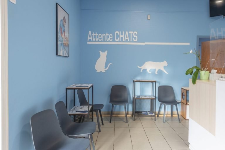 cliniqueveterinaireduviaduc poixdepicardie 8