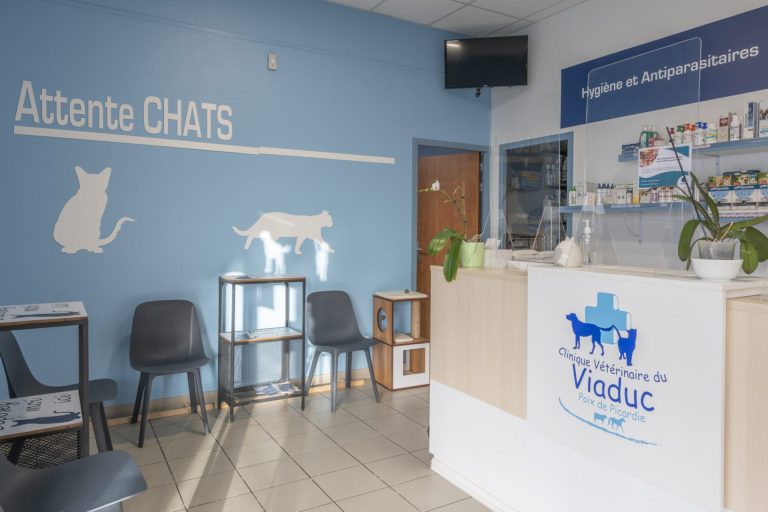cliniqueveterinaireduviaduc poixdepicardie 9