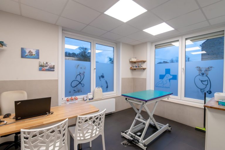 cliniqueveterinairegambetta braine le chateau 17