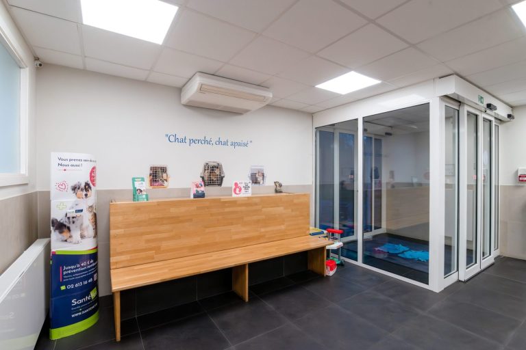 cliniqueveterinairegambetta braine le chateau 18