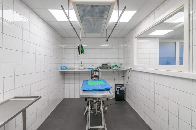 cliniqueveterinairegambetta braine le chateau 22