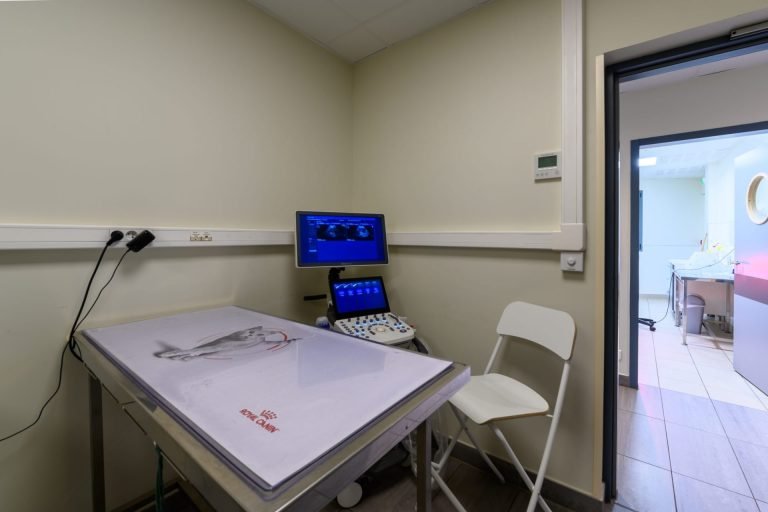 cliniqueveterinairerozayenbrie rozayenbrie 18