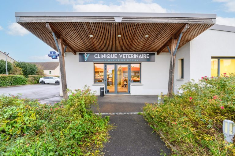 cliniqueveterinairerozayenbrie rozayenbrie 23