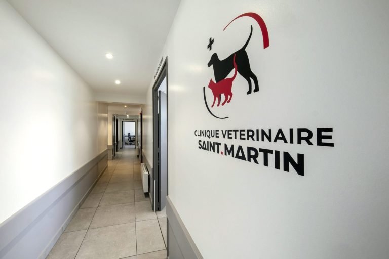 cliniqueveterinairesaintmartin cognac 16