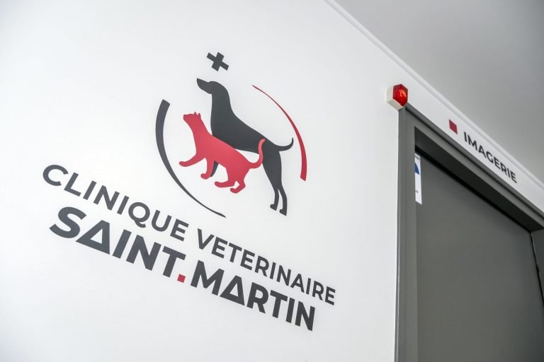 cliniqueveterinairesaintmartin cognac 23