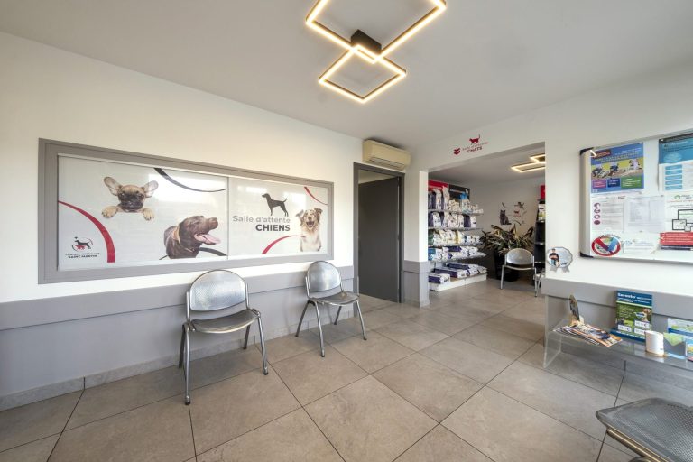 cliniqueveterinairesaintmartin cognac 4