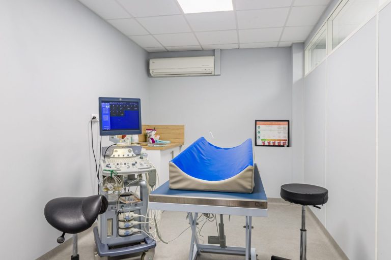 cliniqueveterinairevet amboise amboise 18