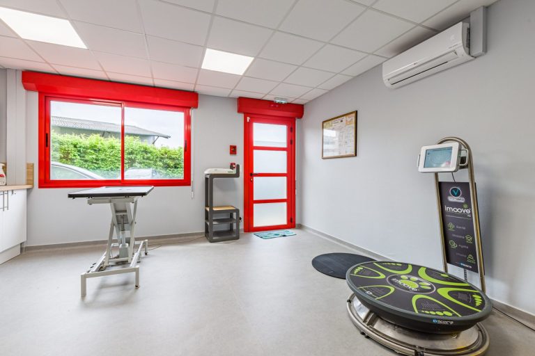 cliniqueveterinairevet amboise amboise 23