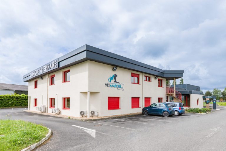 cliniqueveterinairevet amboise amboise 24