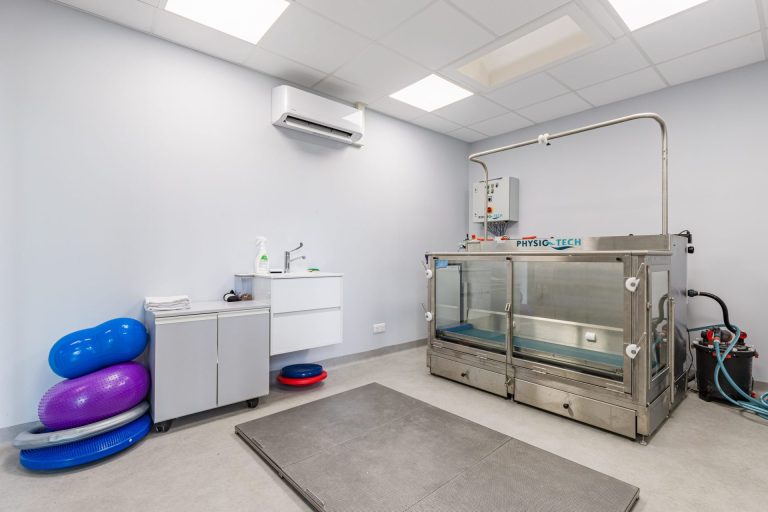 cliniqueveterinairevet amboise amboise 9