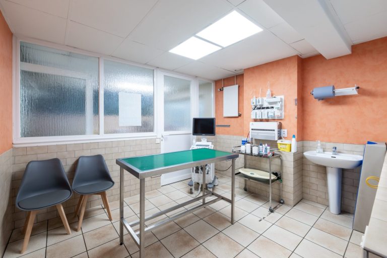 cliniqueveterinairevethautsdeflandre dunkerque 12