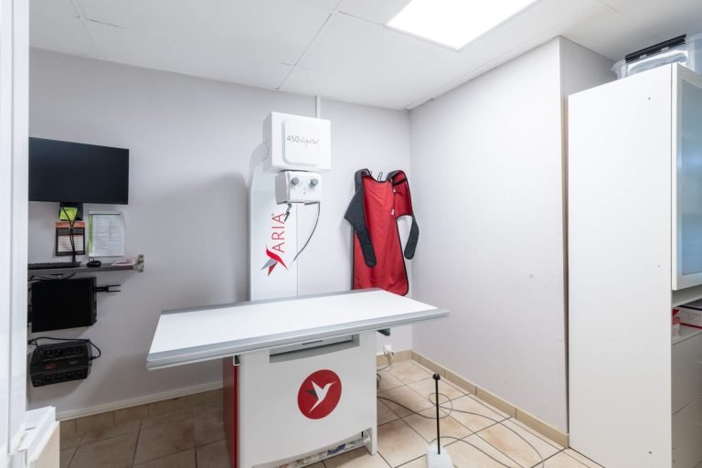 cliniqueveterinairevethautsdeflandre dunkerque 13