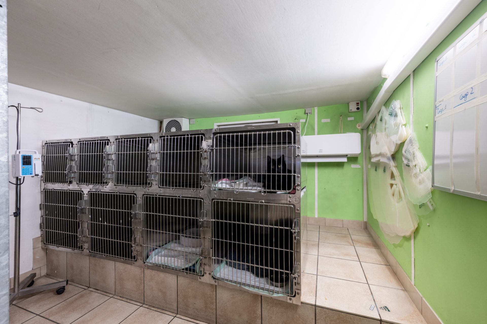 cliniqueveterinairevethautsdeflandre dunkerque 14