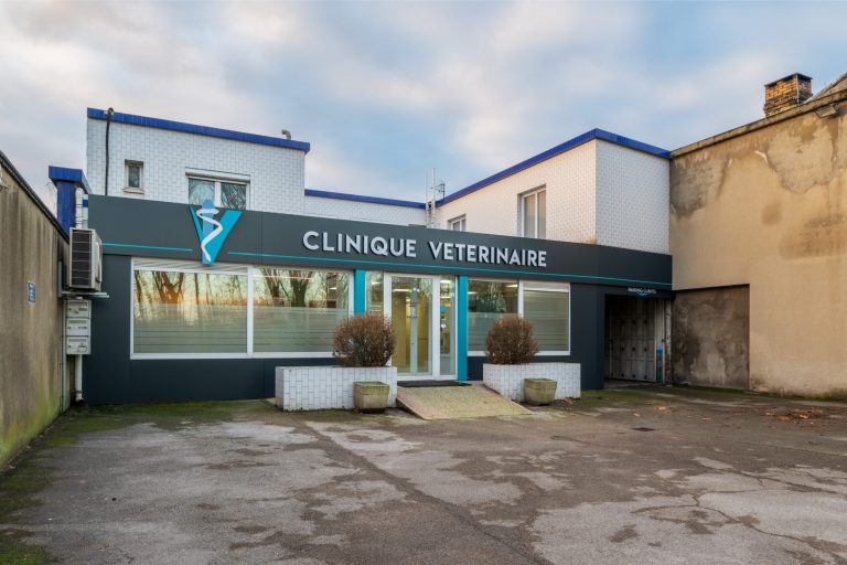 cliniqueveterinairevethautsdeflandre dunkerque 16