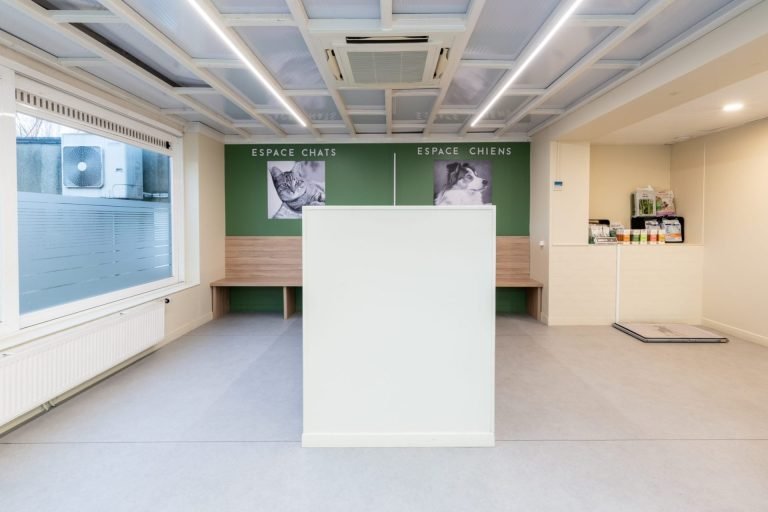 cliniqueveterinairevethautsdeflandre dunkerque 3