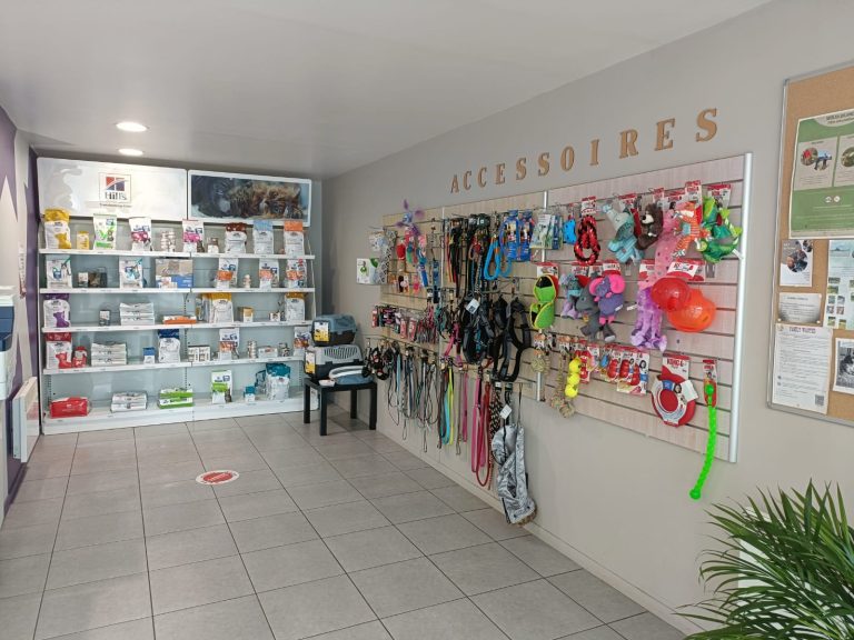 espace alimentation chat et accessoires