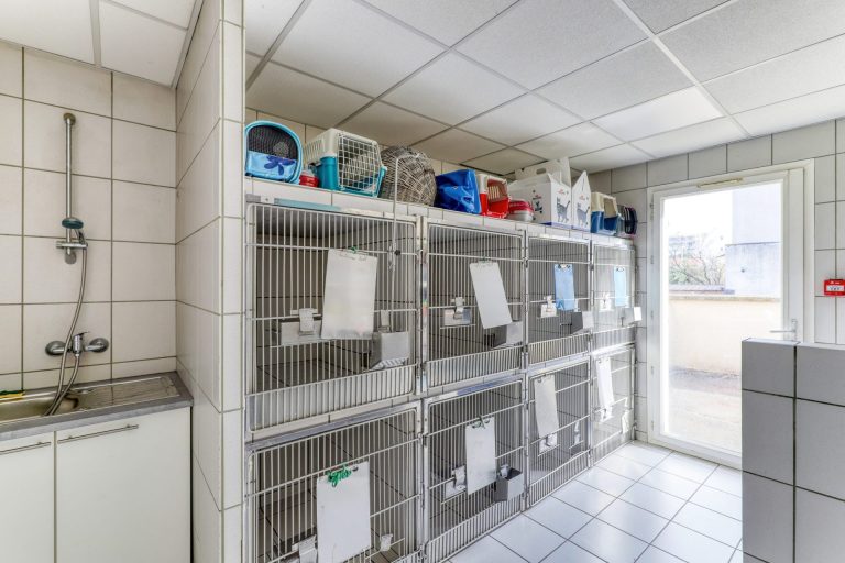 Cage d'hospitalisation