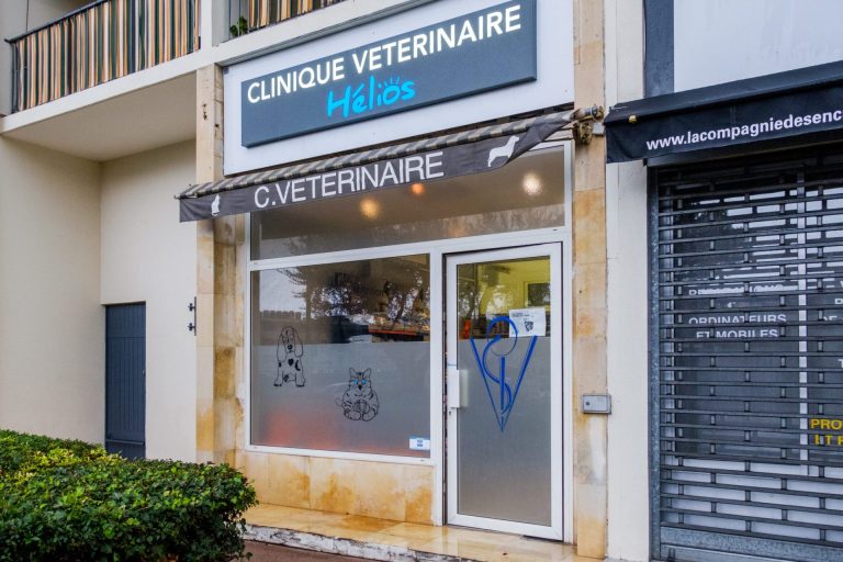 Façade clinique vétérinaire Hélios