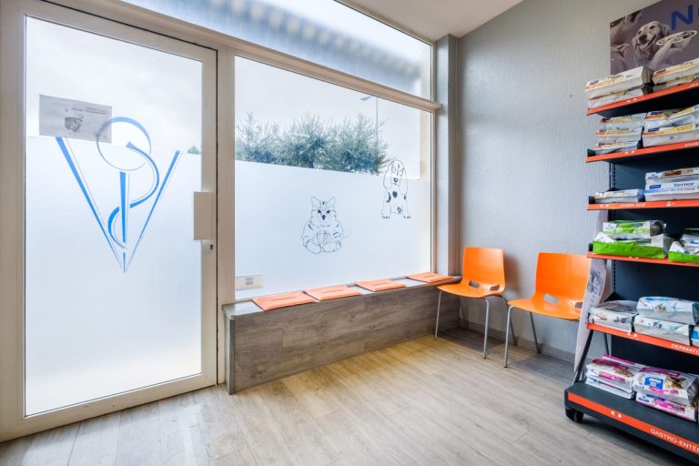 Salle d'attente clinique vétérinaire