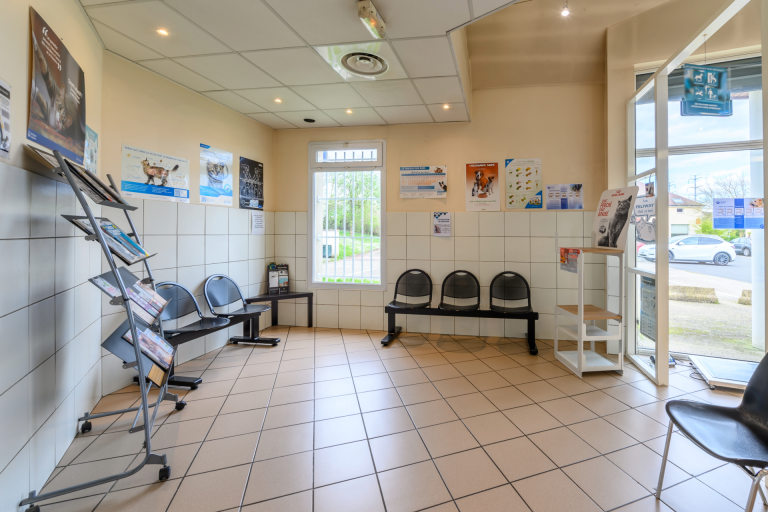 Salle d'attente client et patient