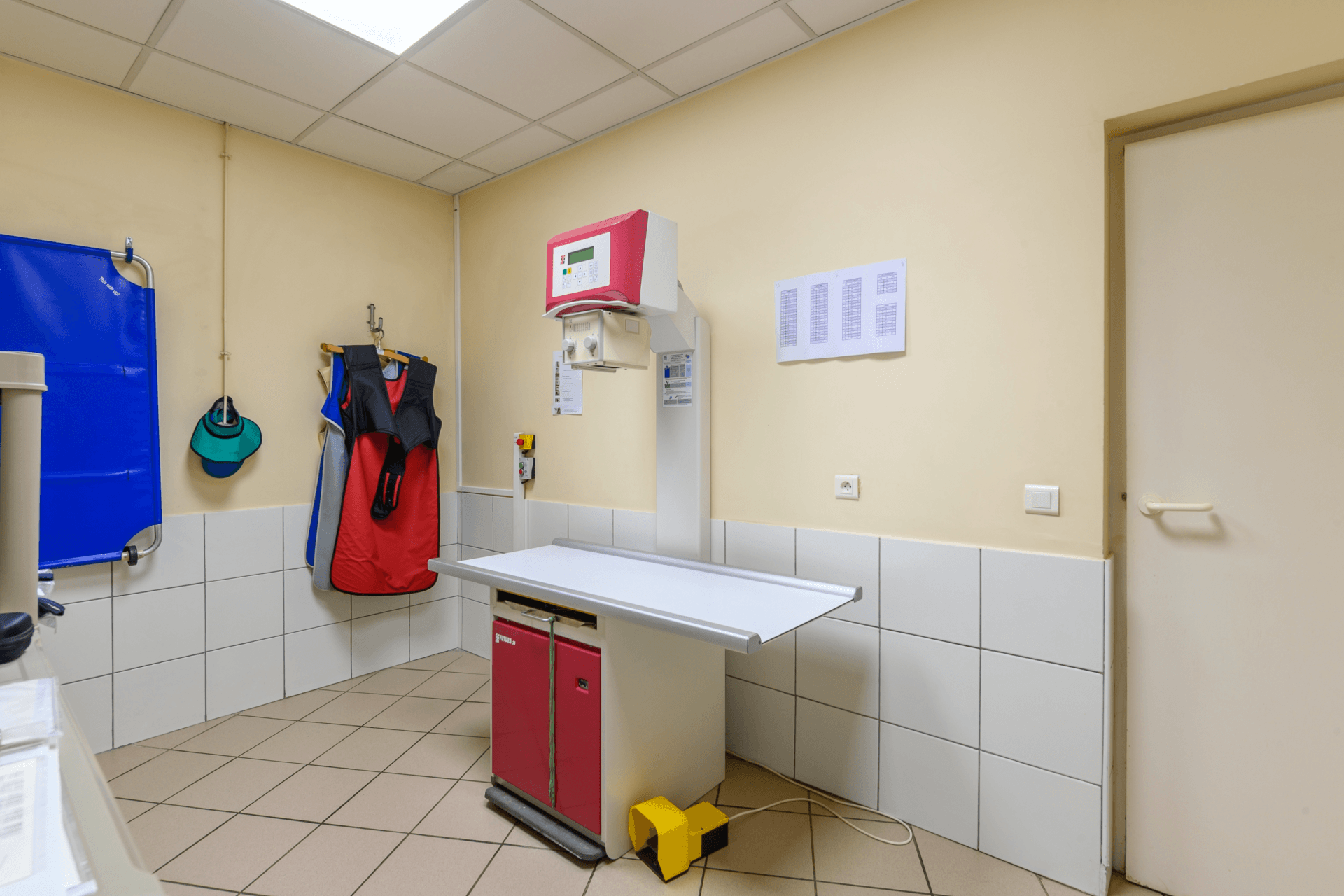 Radiographie pour animaux