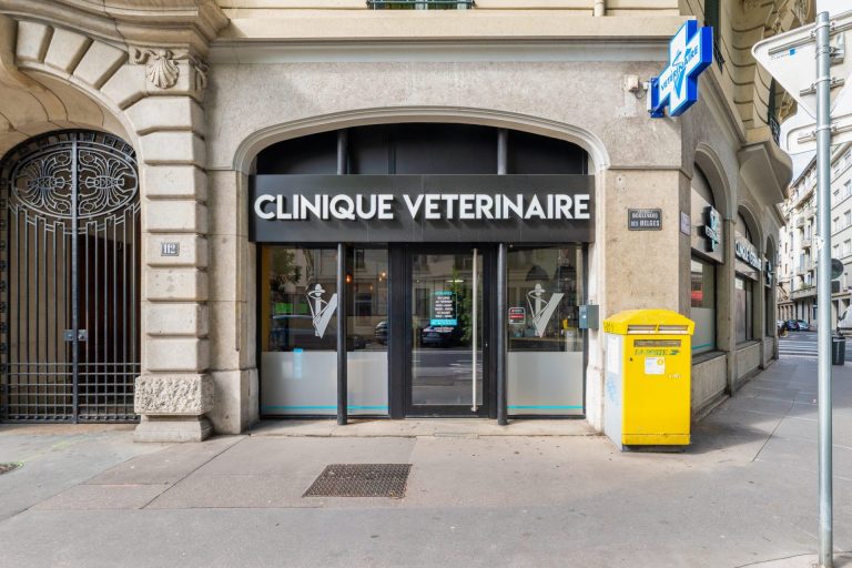  lyonbrotteaux 1
