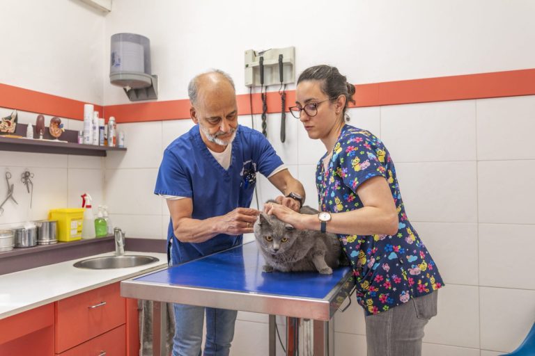  marseillelaplaine 12