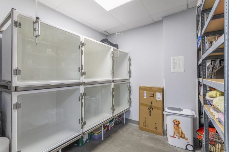 Caisse d'hospitalisation animaux