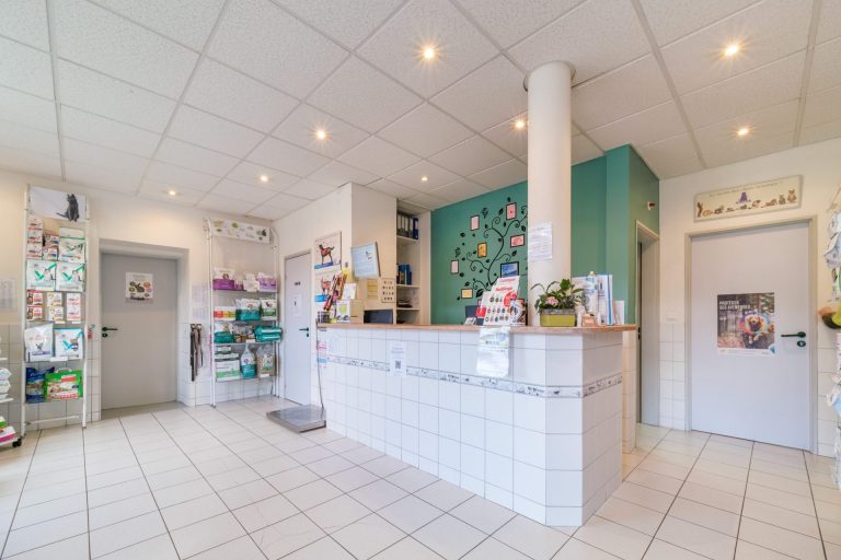 Accueil comptoir