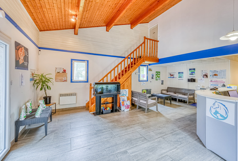 Accueil clinique vétérinaire