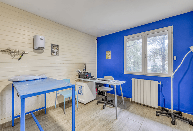 Salle de consultation vétérinaire