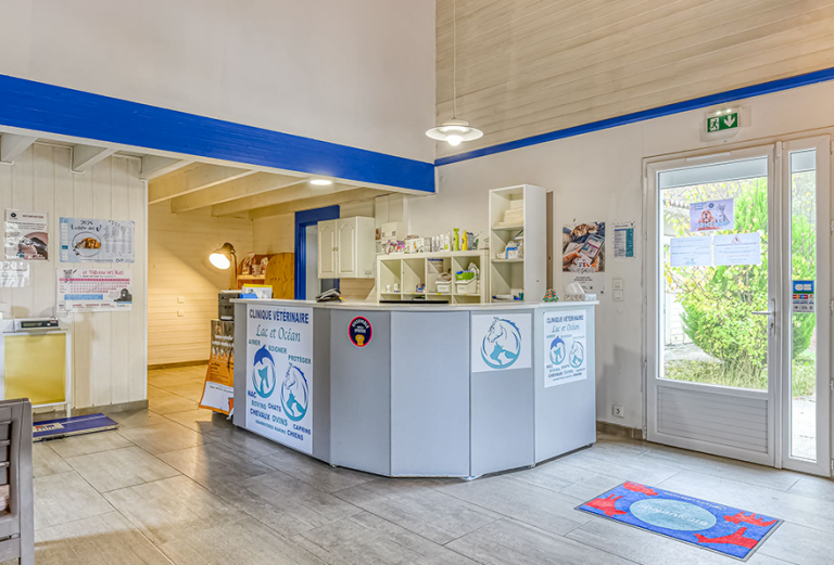 Comptoir d'accueil vétérinaire