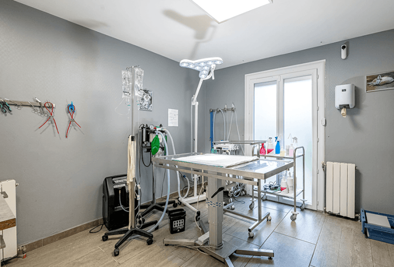 Salle de chirurgie vétérinaire