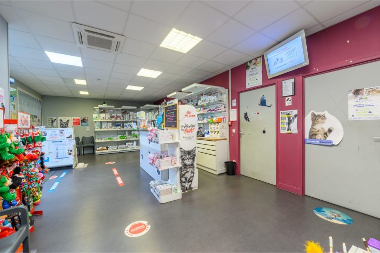 neuillysurmarne neuillysurmarne 3