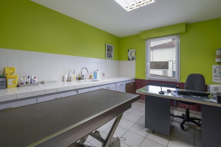 niort niort 5