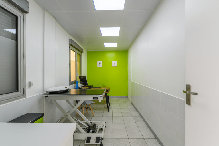 Salle de consultation verte et grise de la clinique vétérinaire de Saint-Thibault-des-Vignes.