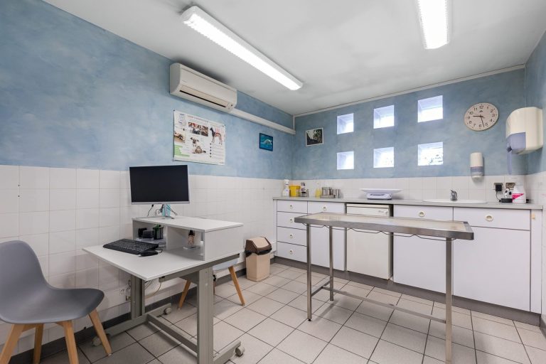 salle de consultation vétérinaire