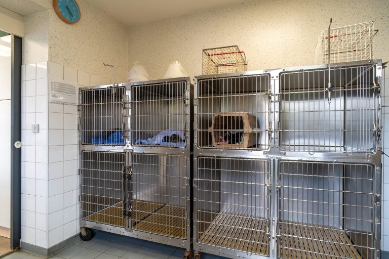 Cage d'hospitalisation