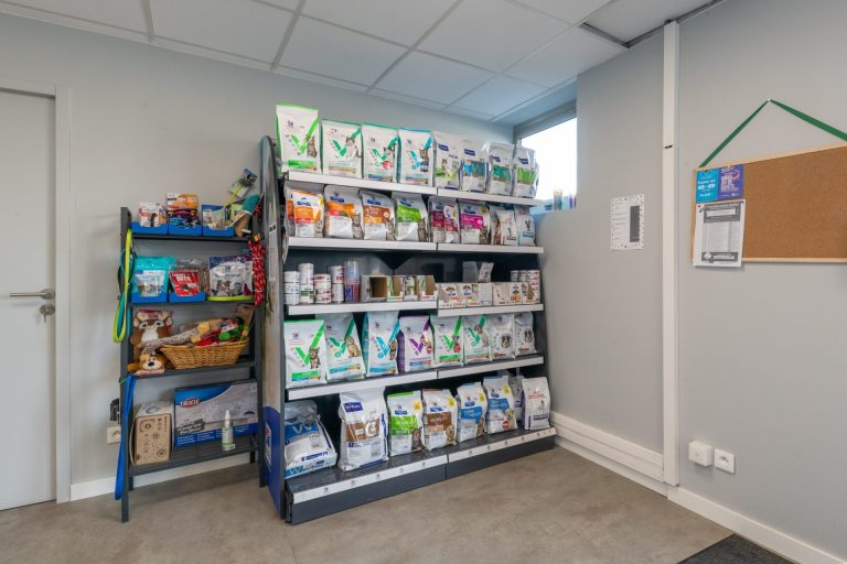 saintpriest saint priest 11