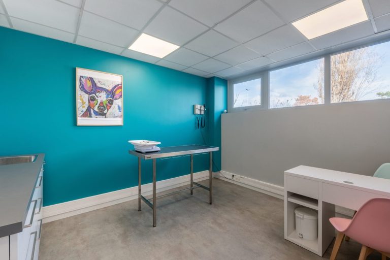 saintpriest saint priest 12