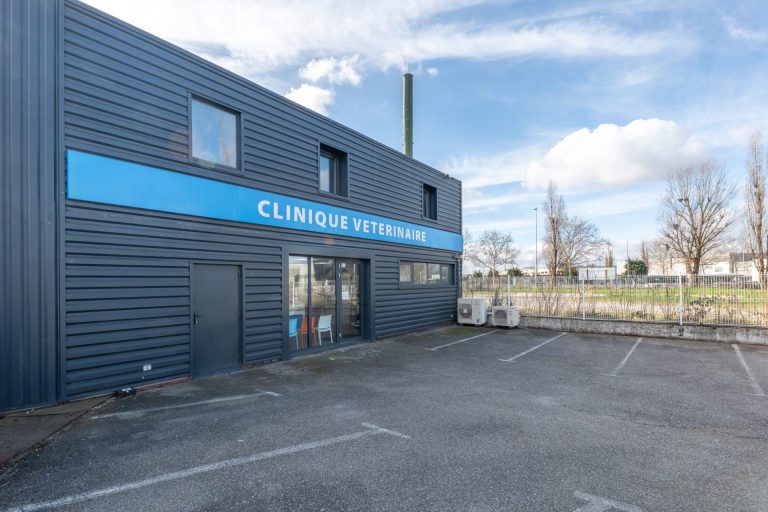 saintpriest saint priest 14