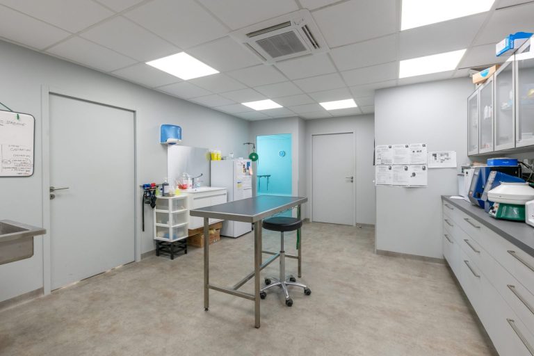 saintpriest saint priest 17