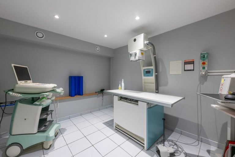 saintpriest saint priest 2