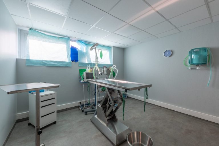 saintpriest saint priest 4