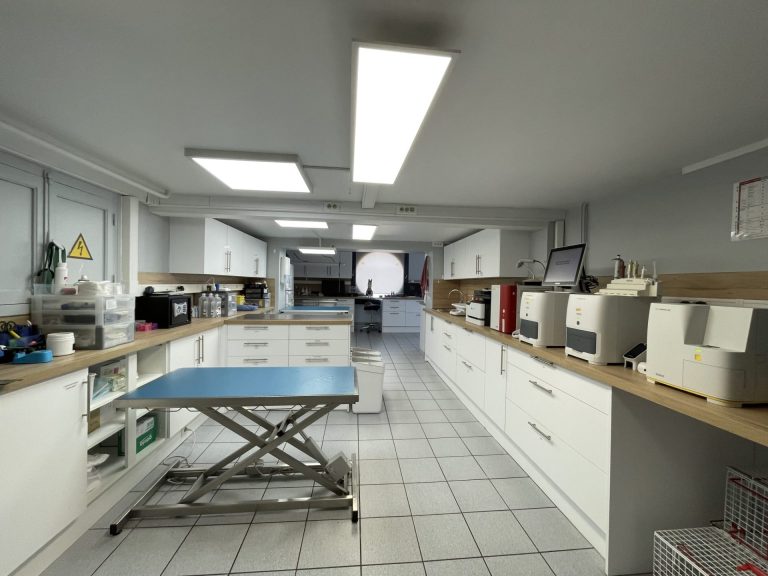 salle de soin et laboratoire