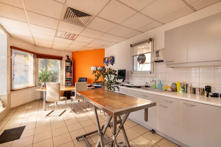 tarbes tarbes 12